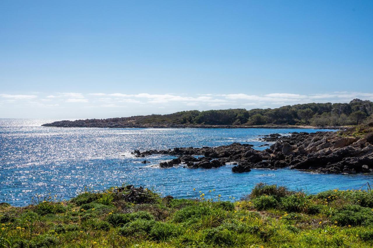 Finca Es Carregador Capdepera  Eksteriør bilde